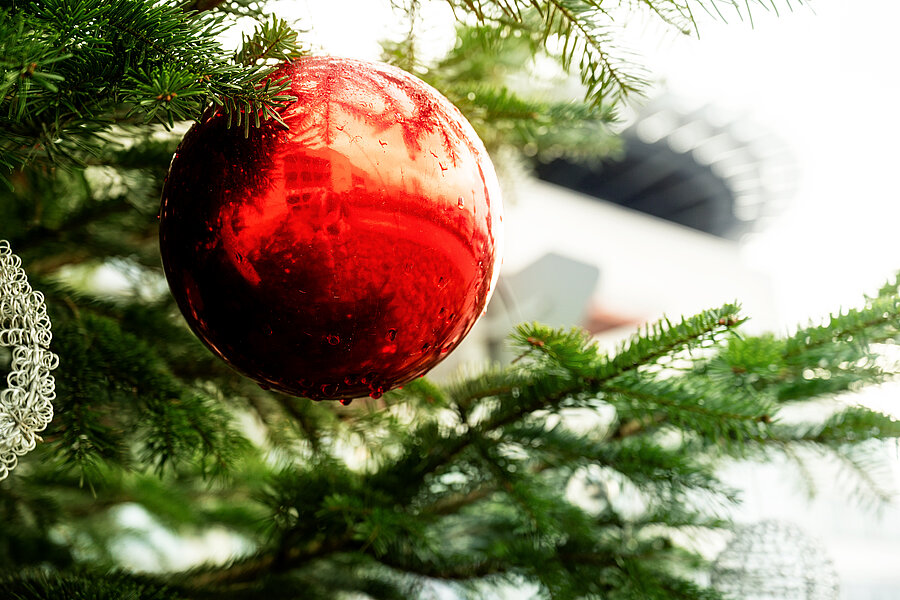 Nahaufnahme einer großen roten Christbaumkugel, die an einem Weihnachtsbaum hängt. Im Hintergrund ist das Hauptgebäude des Universitätsklinikums Halle (Saale) zu sehen. Nahaufnahme einer großen roten Christbaumkugel, die an einem Weihnachtsbaum hängt. Im Hintergrund ist das Hauptgebäude des Universitätsklinikums Halle (Saale) zu sehen.