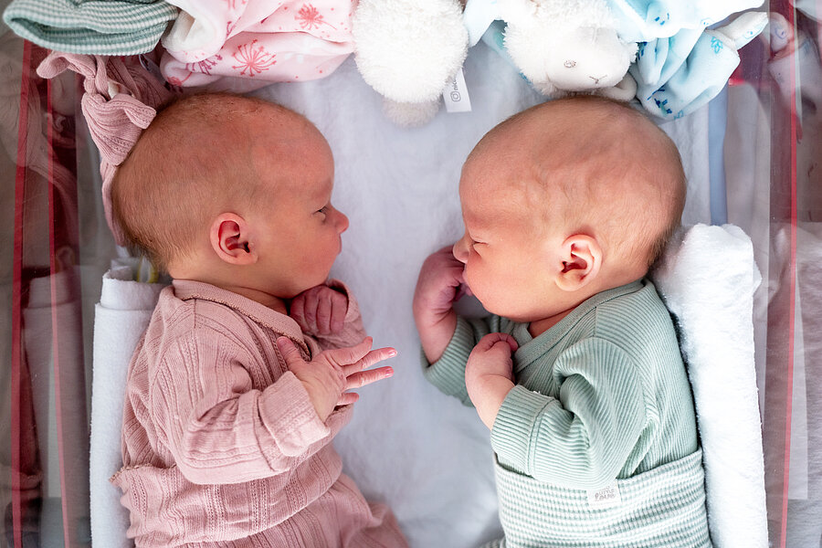 Neugeborene Zwillinge liegen sich in einem Babybett gegenüber. In dem Bett liegen Stofftiere und kleine Mützen. Neugeborene Zwillinge liegen sich in einem Babybett gegenüber. In dem Bett liegen Stofftiere und kleine Mützen.