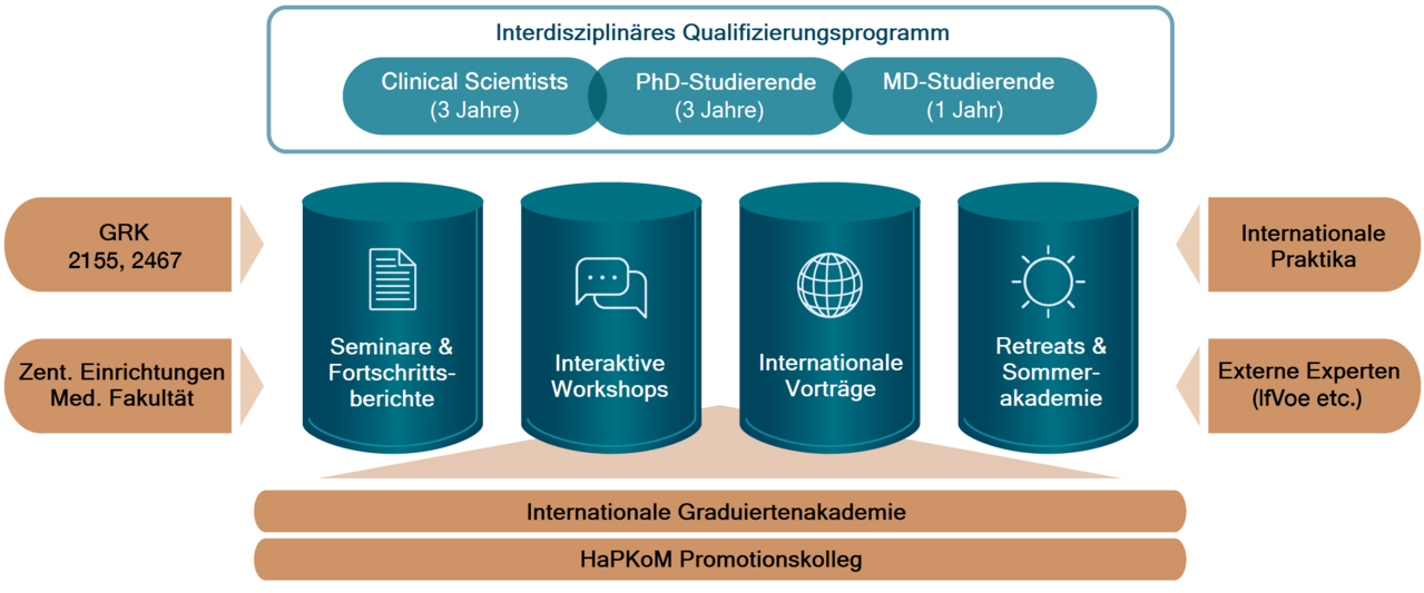 Vier Säulen mit der Beschriftung Seminare und Fortschrittsberichte, interaktive Workshops, internationale Vorträge sowie Retreats und eine Sommerakademie tragen das Qualifizierungsprogramm des GRK