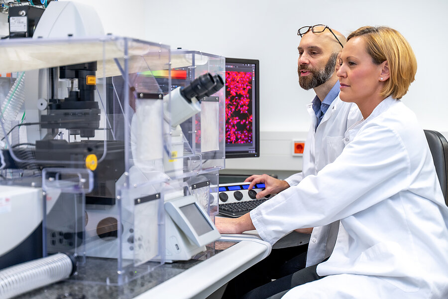 Study on ovarian cancer