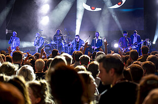 Blick aus der Menge auf die Bühne, wo die Band Die Prinzen performt.