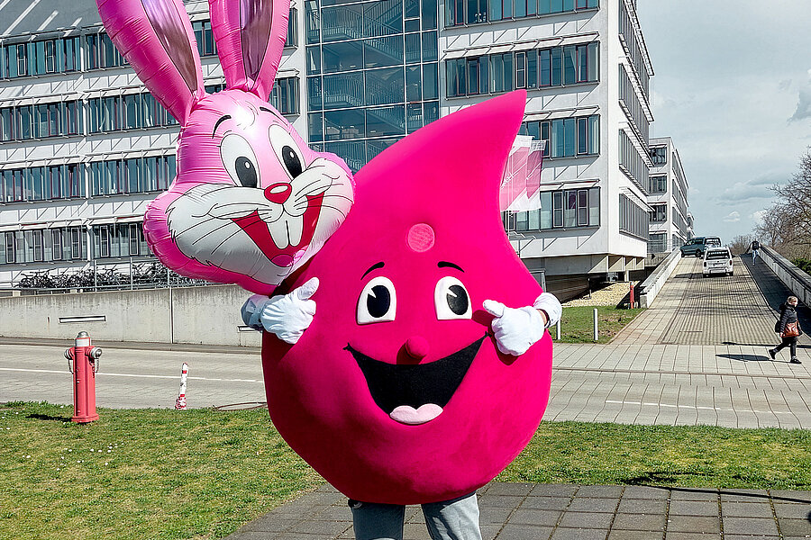 Eine Person steht im Maskottchen-Kostüm der Blutspende des Universitätsklinikums Halle (Saale) (UKH) vor dem Hauptgebäude des UKH. Das Kostüm ist ein großer Blutstropfen. Hinter ihm schwebt ein Luftballon in Hasenform. Eine Person steht im Maskottchen-Kostüm der Blutspende des Universitätsklinikums Halle (Saale) (UKH) vor dem Hauptgebäude des UKH. Das Kostüm ist ein großer Blutstropfen. Hinter ihm schwebt ein Luftballon in Hasenform.