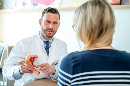 Wir begleiten Frauen bei Kinderwunsch, den oft herausfordernden Veränderungen in der Menopause oder bei Krebserkrankungen. Ziel ist es, die Versorgungssicherheit und Behandlung der Patient:innen zu verbessern und möglichst individuell zugeschnittene Therapien anzubieten.