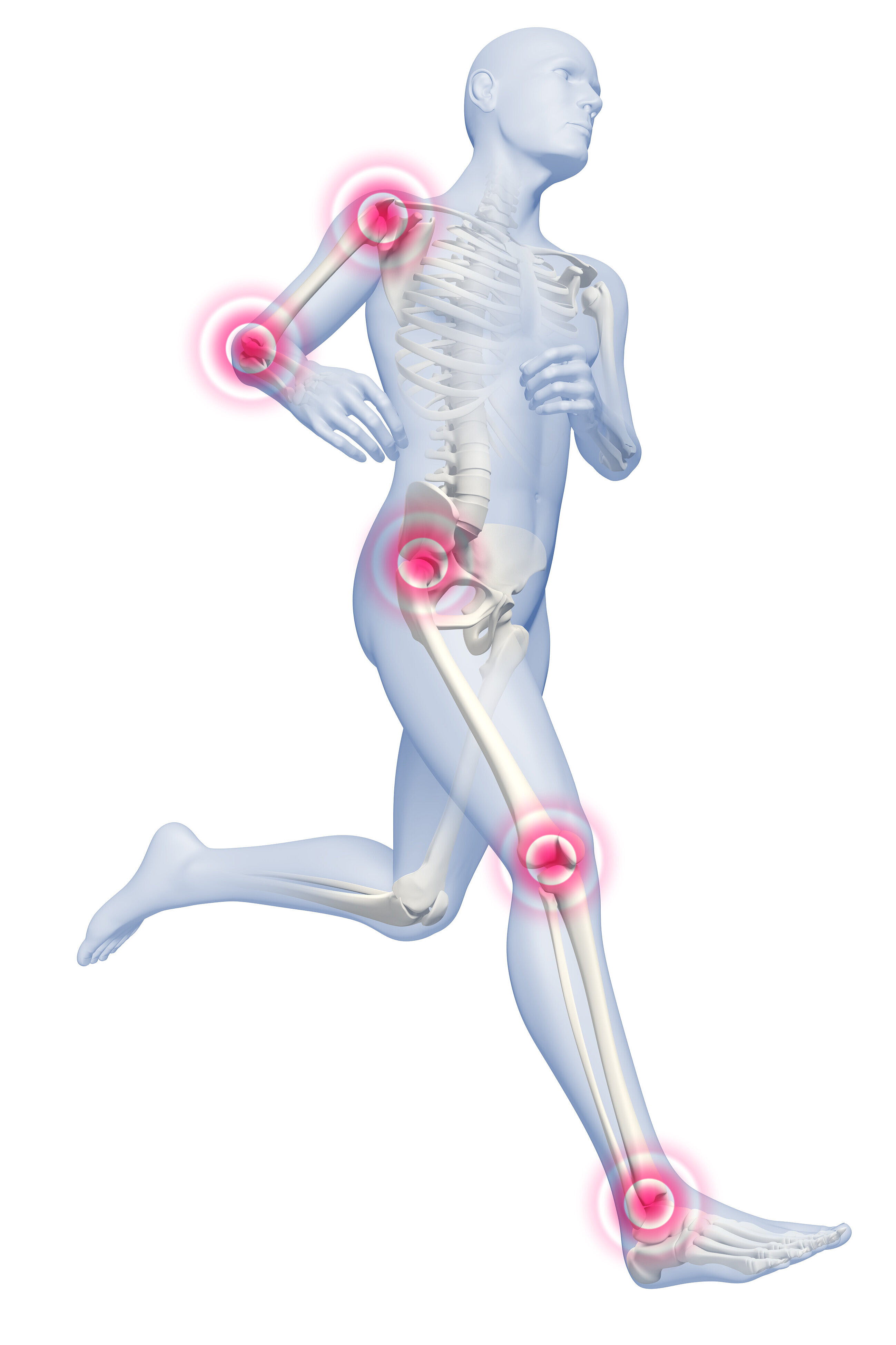 Grafik eines gläsernen Läufers, dessen Skelett zu sehen ist. Die Gelenke sind mit roten Punkten markiert